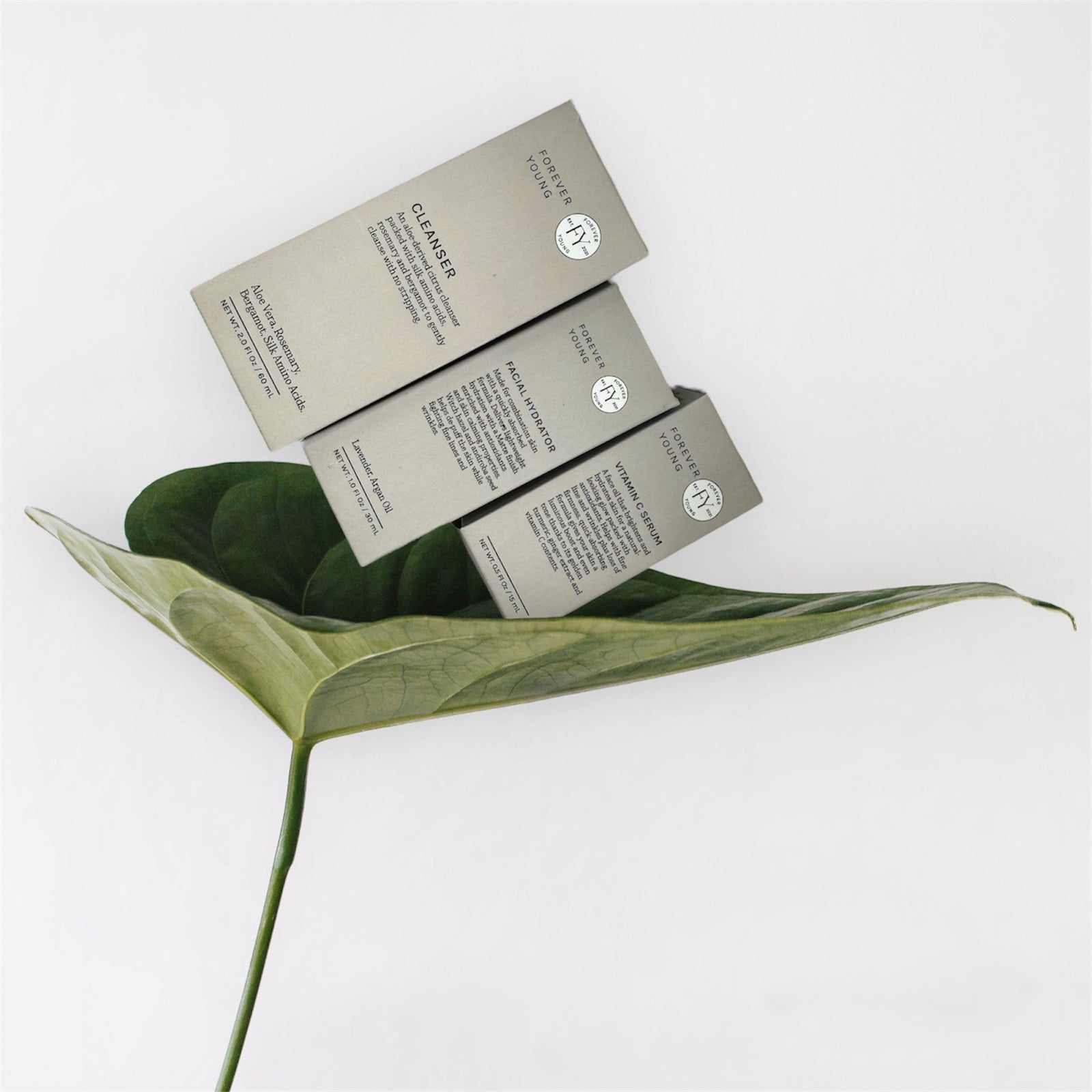 Forever Young Routine